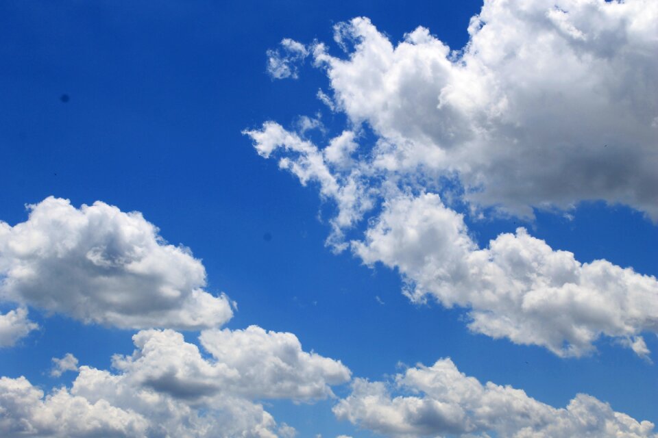 Sky day sunlight
