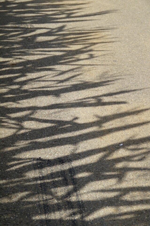 Tar road away