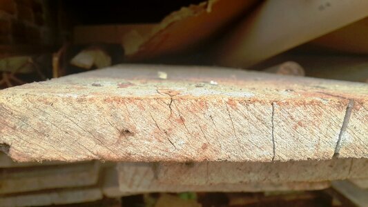 Wood tabua construction