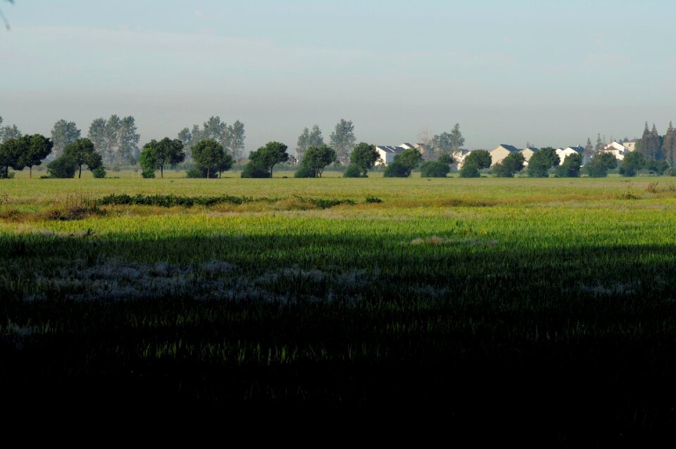 Shanghai suburban landscape