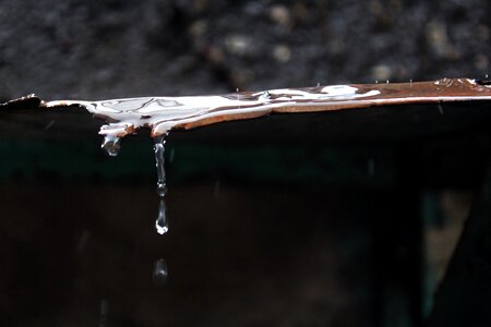 Rain raindrops water droplets photo