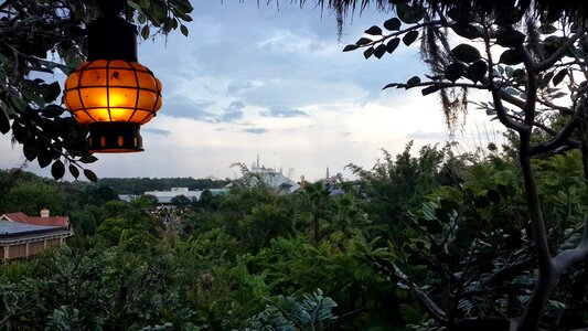 Disney land parks orlando
