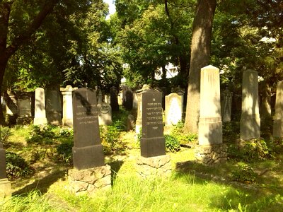 Magdeburg cemetery jewish cemetery photo