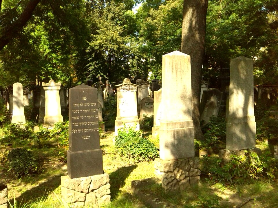 Magdeburg cemetery jewish cemetery