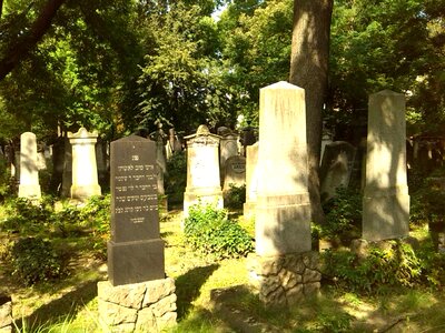 Magdeburg cemetery jewish cemetery photo