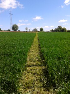Straight ahead green blue