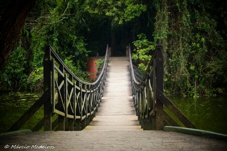 Santos lagoa da saudade nature