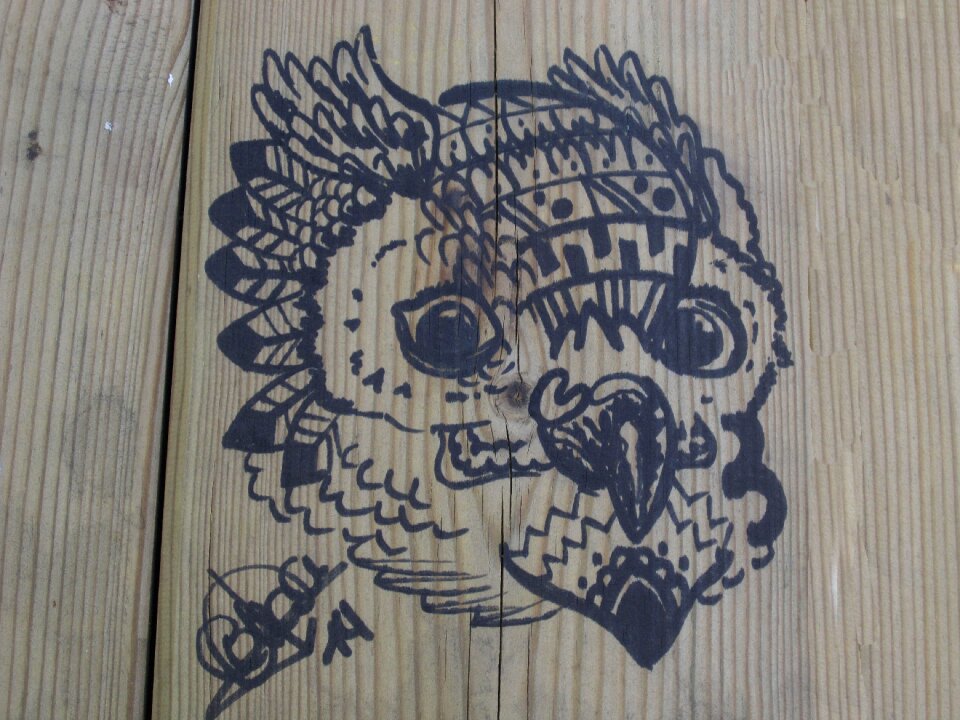 Buho wood drawing