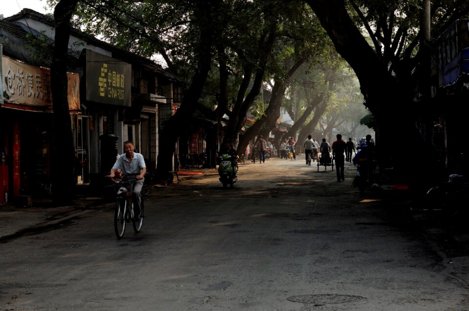 Shanghai suburban landscape