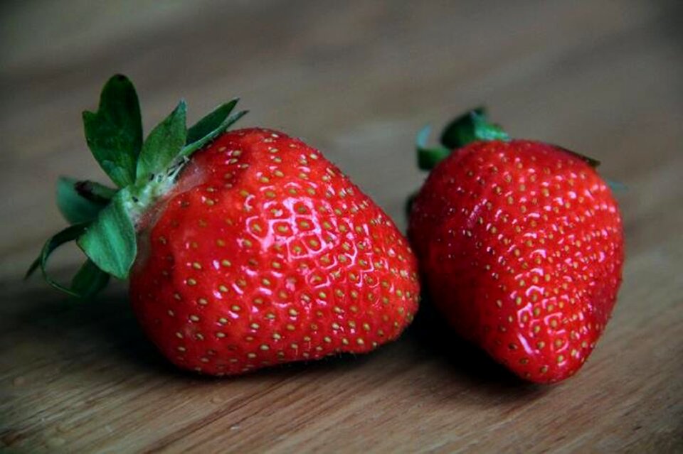 Summer sweden berry