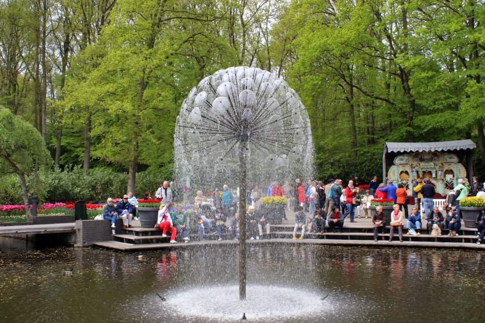 Park summer garden