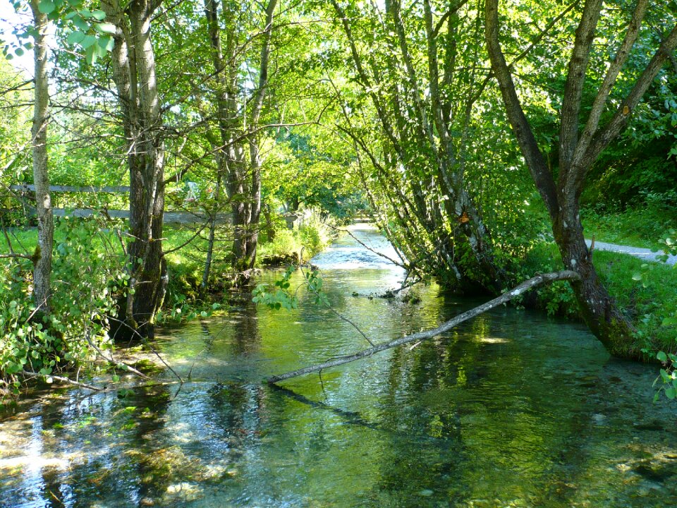 Landscape water nature