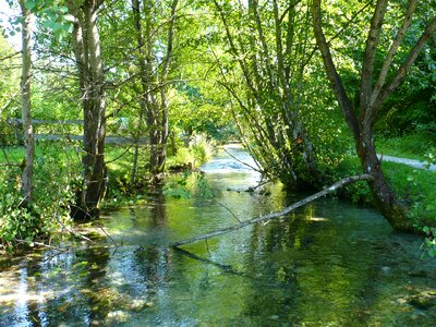 Landscape water nature