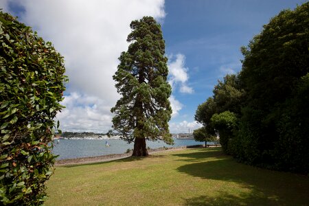 Trees sea lake