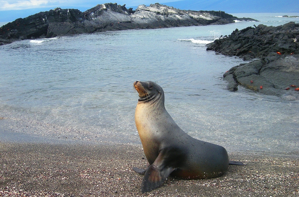 Ecuador island pacific