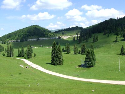 Plateau nature field