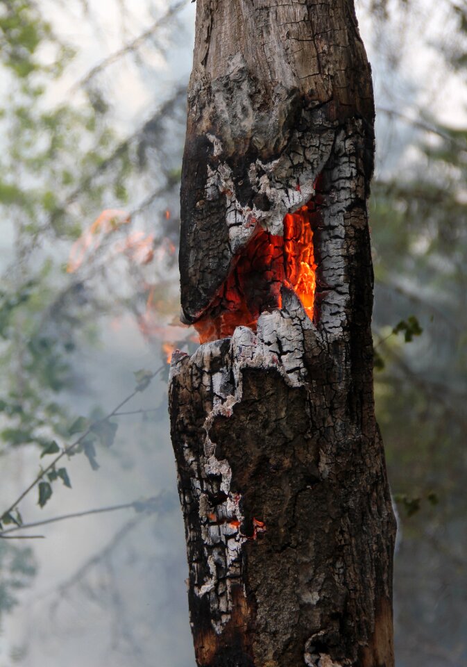 High stump ash smoke