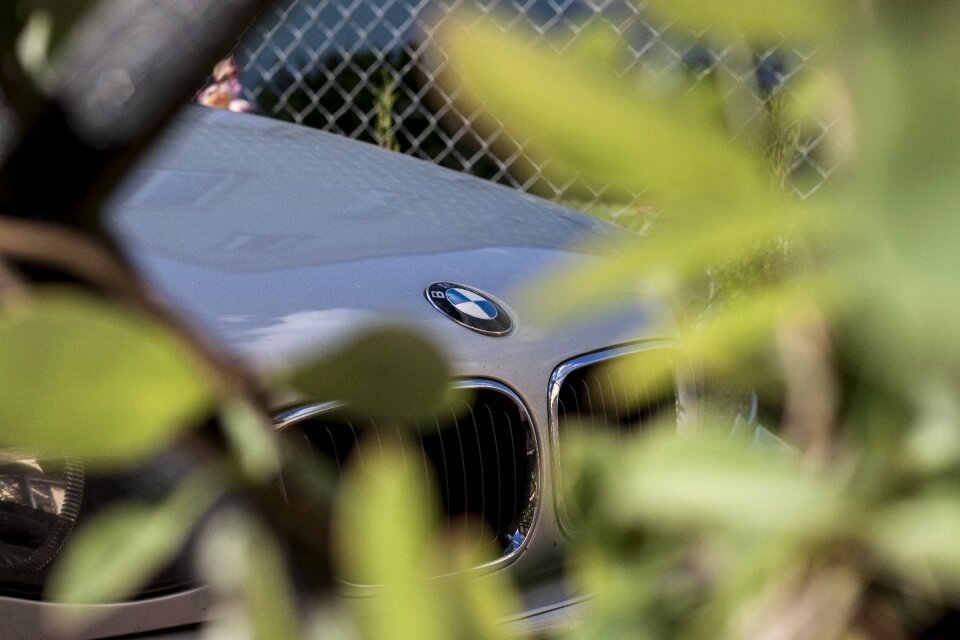 The vehicle logo mask