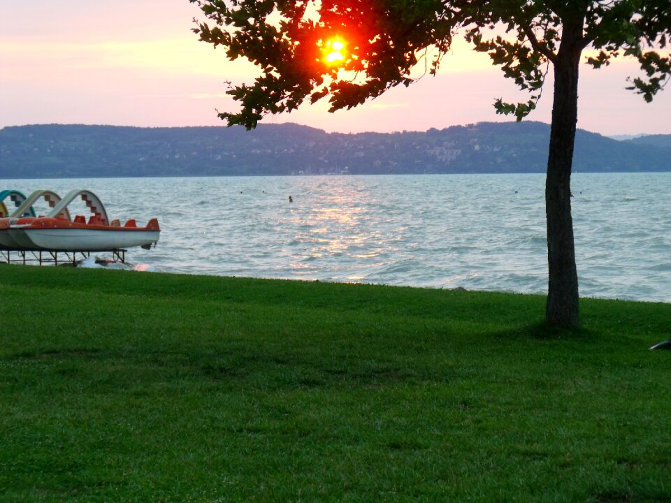Summer water hungary