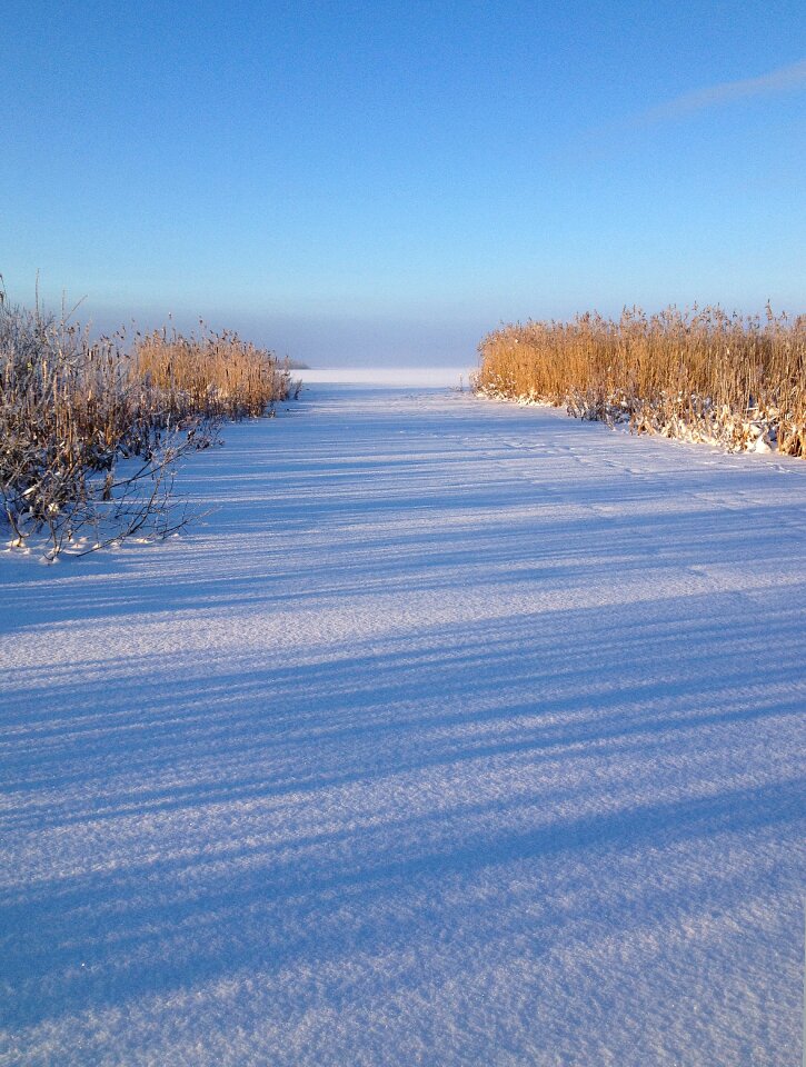 Hjälstaviken vårmark cold
