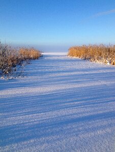 Hjälstaviken vårmark cold