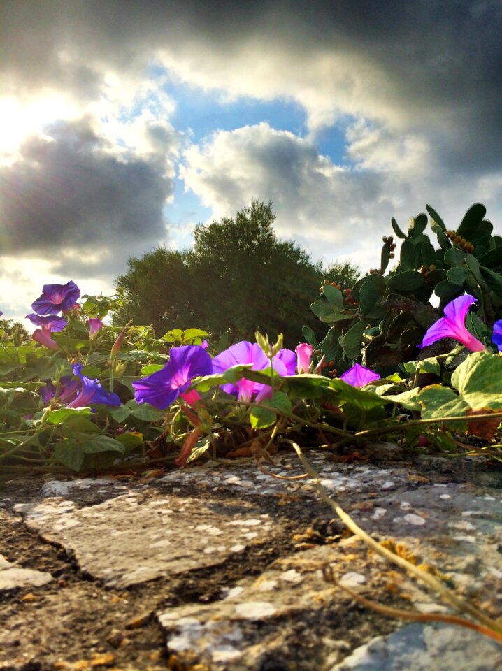 Nature clouds idyll