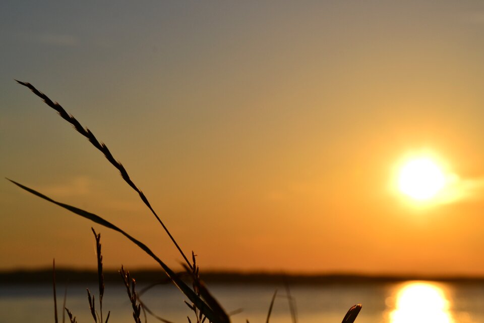 Sunset finnish nature