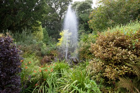 Rest landscape idyll