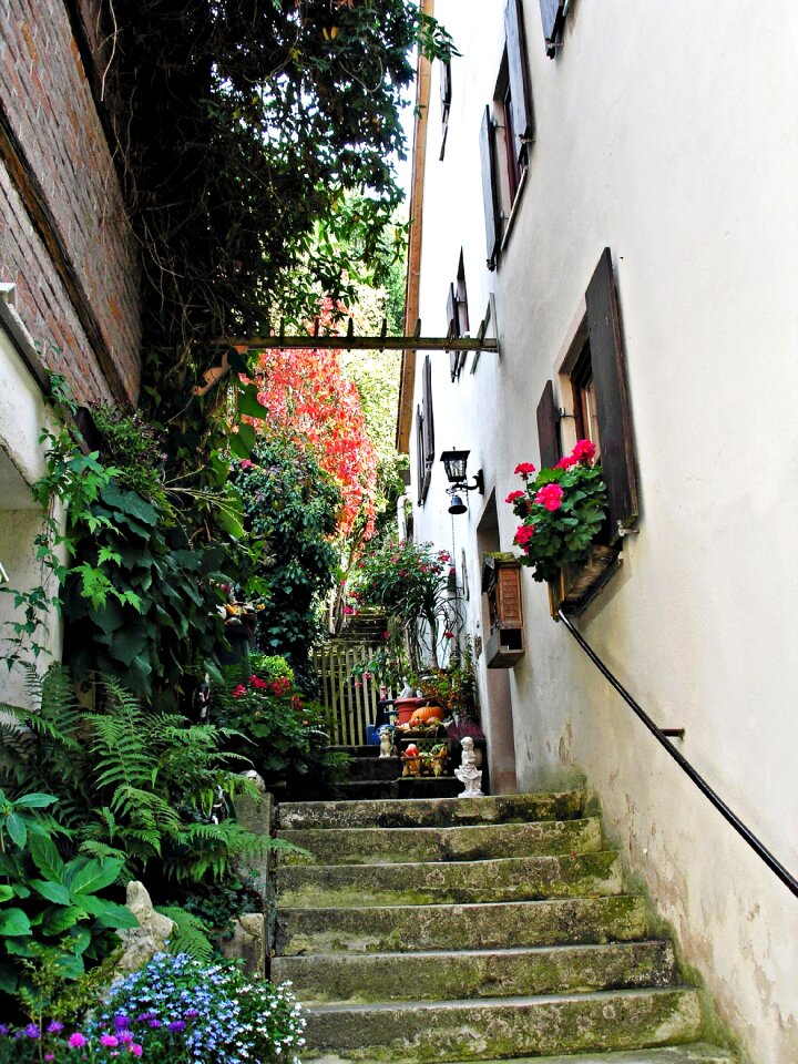 Building emergence stone steps