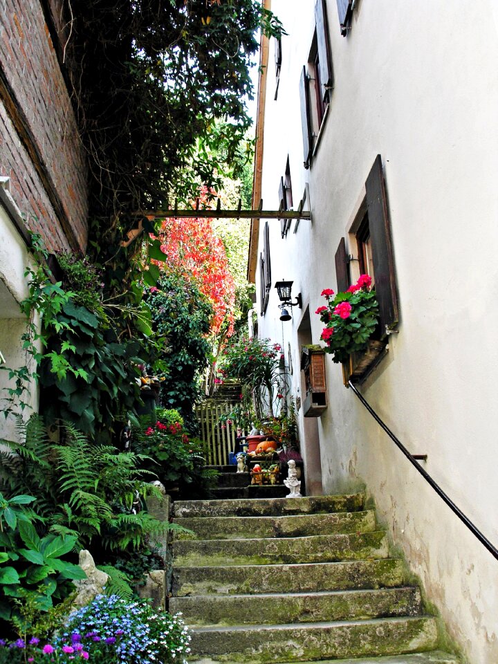 Building emergence stone steps photo