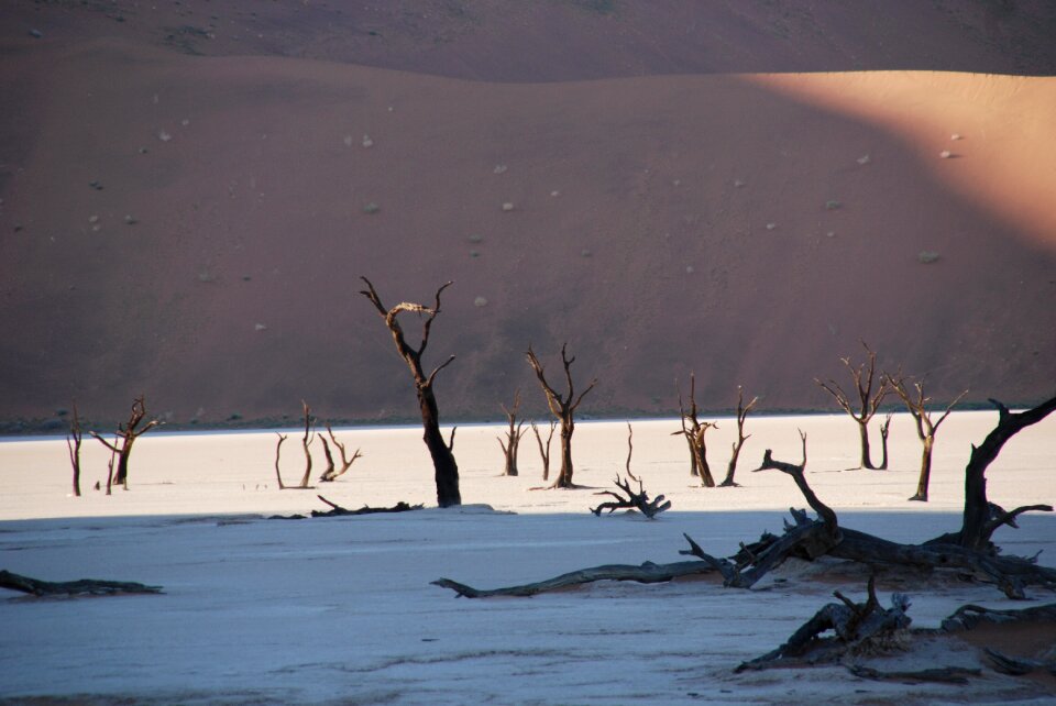 Nature dune etosha national park