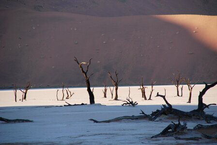 Nature dune etosha national park