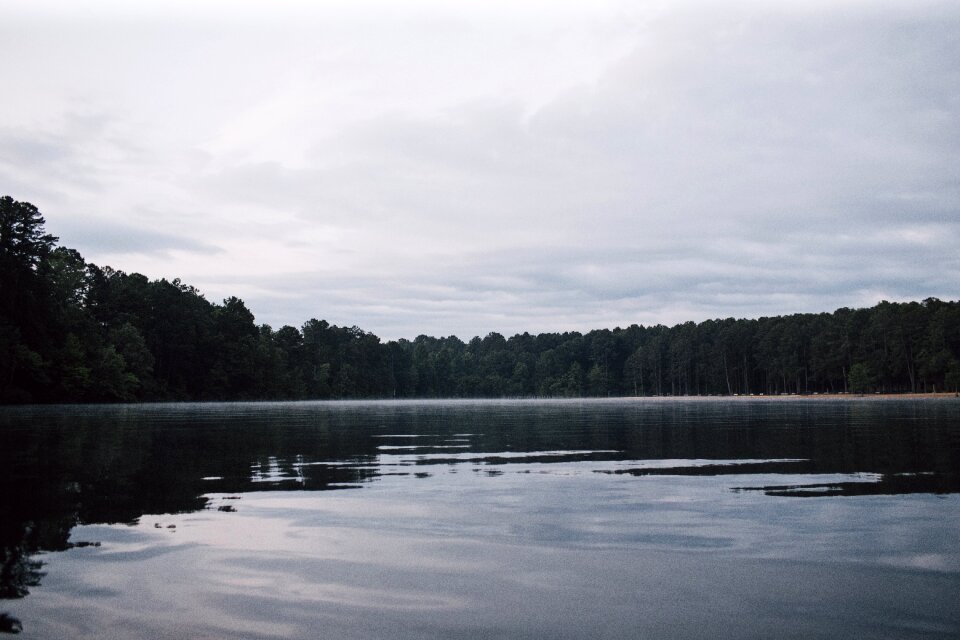 Reflections pond trees photo