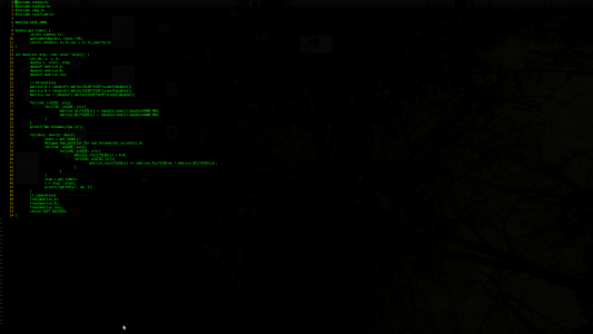 Programming terminal linux