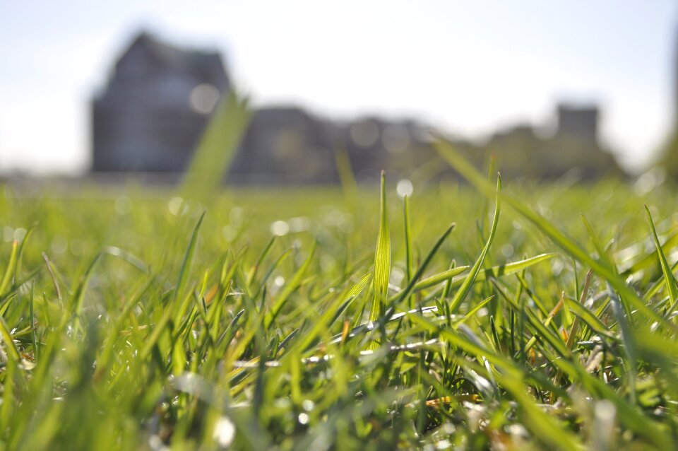 Summer outdoor natural