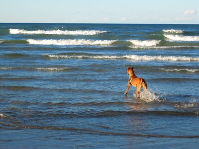 Water blue coast photo