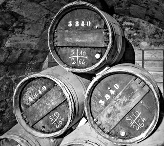 Rioja cava bottles