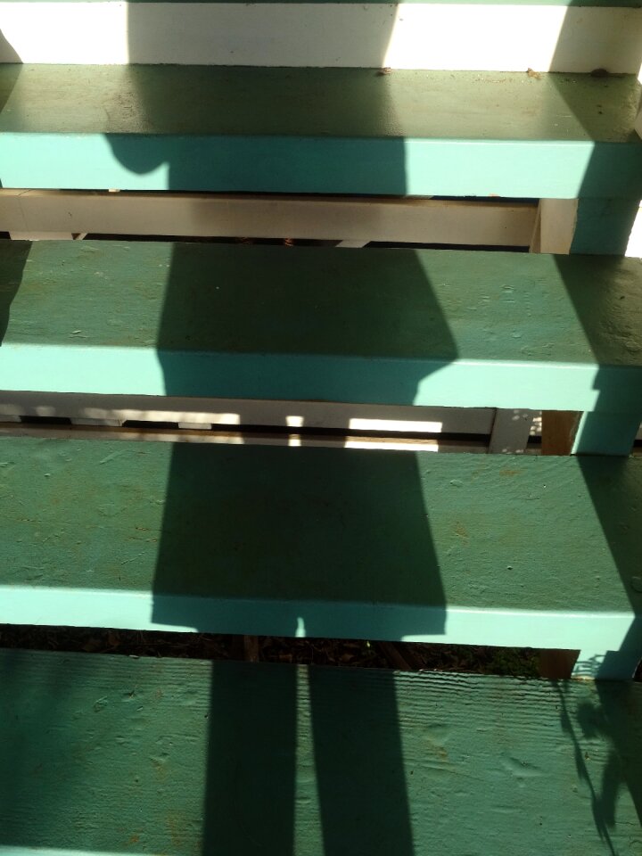 Light staircase human