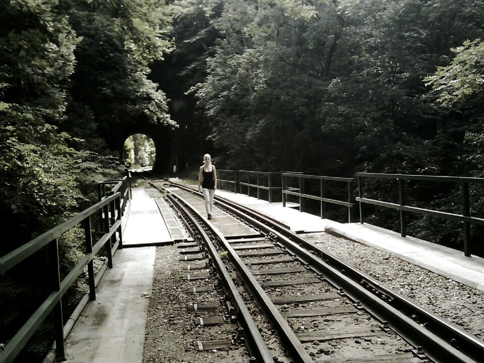 Rails train rail