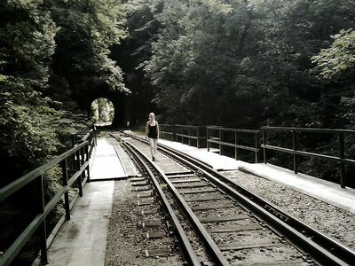 Rails train rail