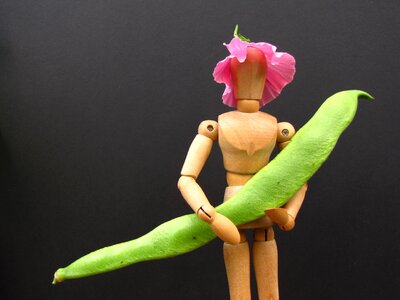 Gardener hat flower