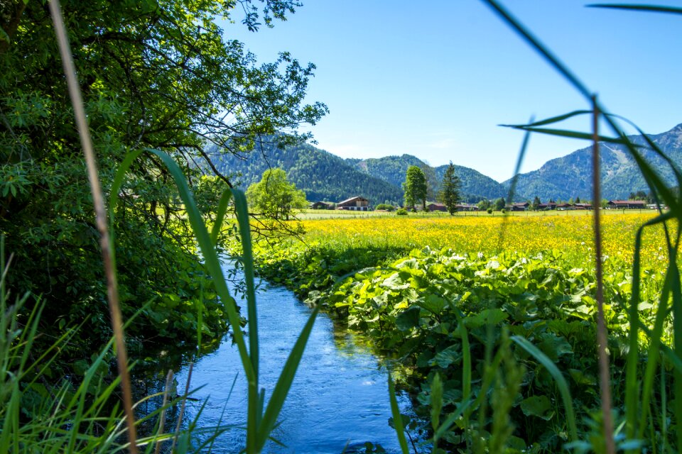 Nature forest waters