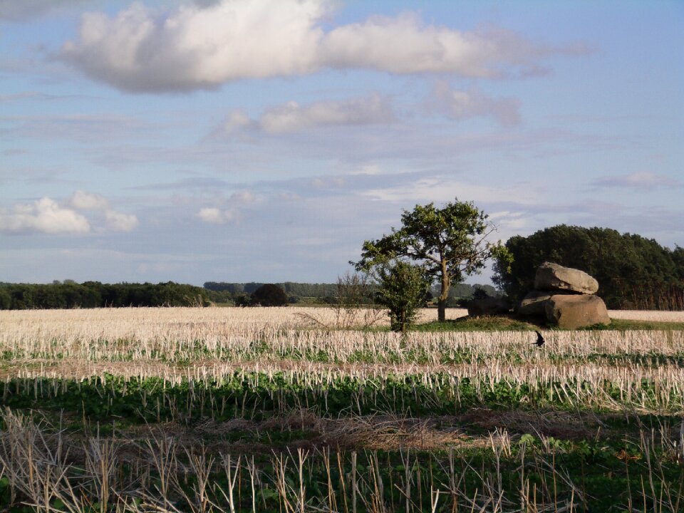 Northern germany landscape germany