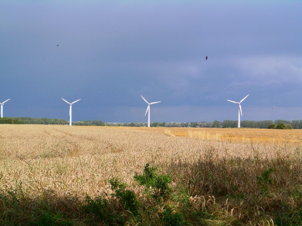 Coast northern germany fields