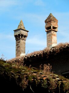 Fireplace roof sentinels