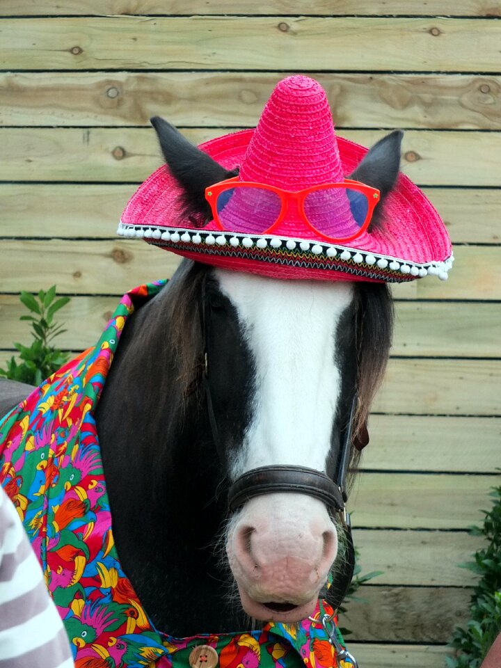 Heavy hat sombrero