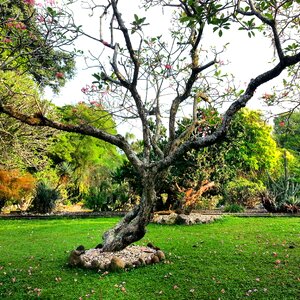 Environment outdoor ecosystem