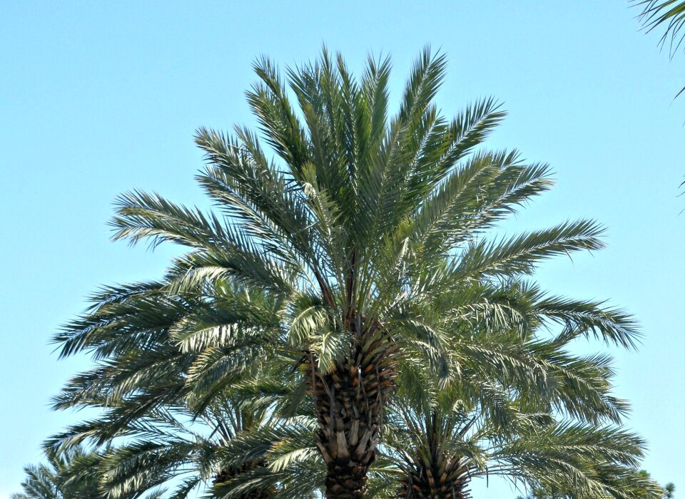 Tropical blue landscape