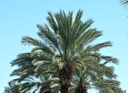 Tropical blue landscape