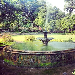 Botanical garden indonesia green